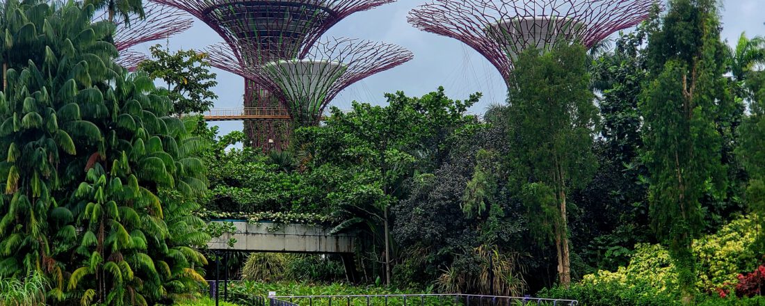 Gardens by the Bay