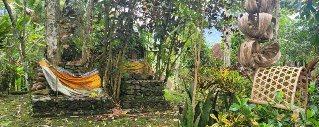 Tagesausflug auf Bali